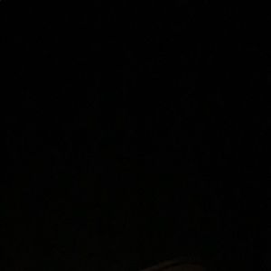 Meet your Posher, Kenzie